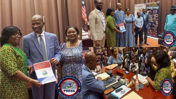 Liberia S Fiscal Outlook Examining The FY 2024 Draft National Budget   Budget 600x338 